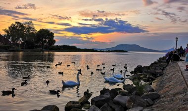 Mackó Apartman Fonyód