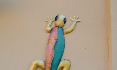 Kisgyík Apartman Pécs