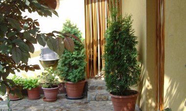 Dávid Apartman Hajdúszoboszló