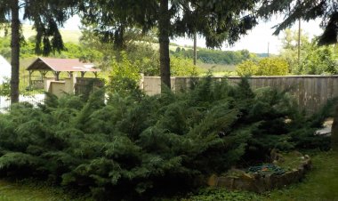 Nimród Fogadó-Apartmanház Mőcsény