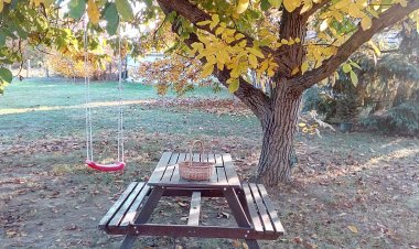 Kis Ház Apartman Tiszaszőlős