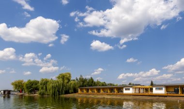 Halfarock Vízi-Erdei Apartmanház Levelek