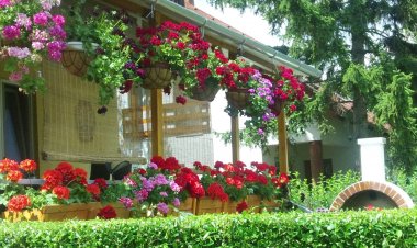 Family Apartman Balatonalmádi