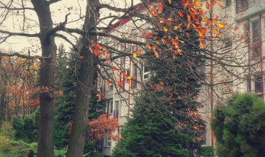 Fészek Apartman Sopron