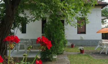 Ezüstfenyő Apartman Gyula
