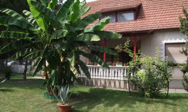 Margit Apartman Siklós