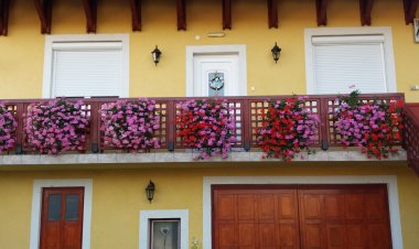 Tóth Pince Apartman Tokaj