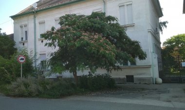 Elizabeth Apartman Makó