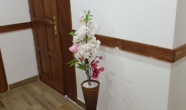 Gesztenye Apartman Úrkút