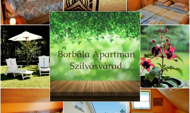 Borbála Családi Apartman Szilvásvárad