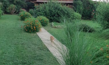 Ica-lak Apartman Eger Almár