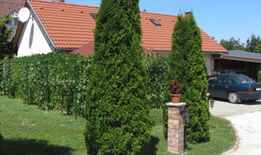 Meni Apartmanház Balatonföldvár