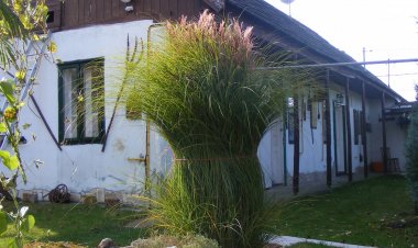 Jobb mint otthon Falusi Szállás Vámosmikola