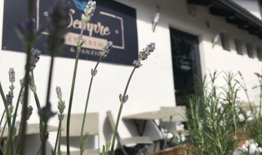 Sempre Étterem és Panzió Székesfehérvár