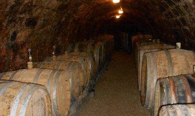 Galambos Pincészet Abaújszántó