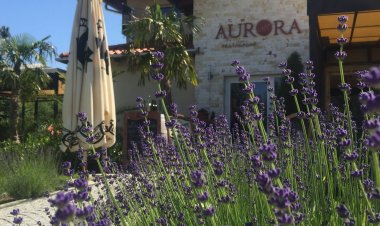 Aurora Panzió Bükfürdő