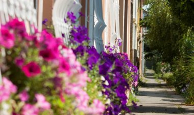 Szivárvány Panzió Szeged