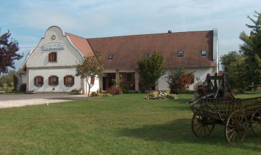 Borház Panzió Hajós-Pincefalu