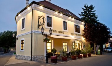 Toldi Fogadó**** Tokaj