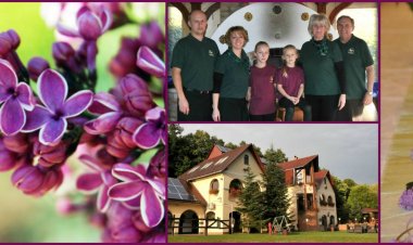 Brauer Panzió Mecseknádasd