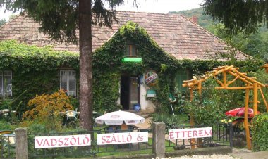 Vadszőlő Wellness Szálló és Étterem Bakonybél