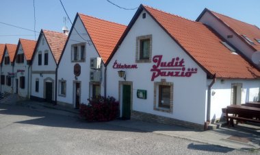 Judit Panzió Hajós