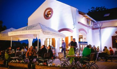 Diófa Panzió Villány