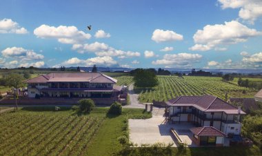 Ebner Pince Panzió Mozsgó