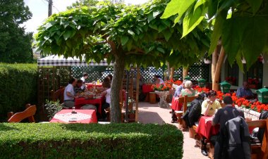 Zöld Elefánt Étterem & Panzió Zalaapáti