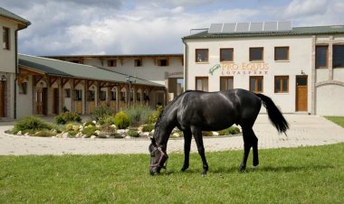 Pro Equus Lovaspark Bagod