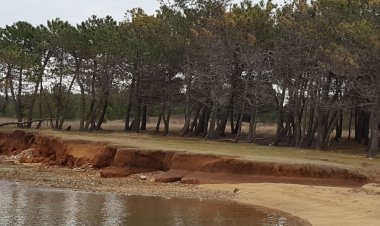 Apartman Novak Vir Horvátország