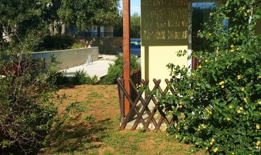 Apartmani Kate Murter Horvátország