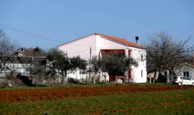 Apartman Petar Pula Horvátország