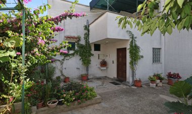 Apartments Anita summer Vodice Horvátország