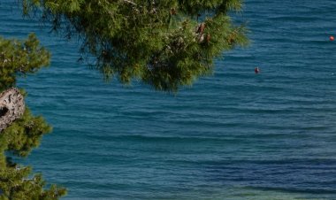 Apartments Lovorka Postira Horvátország