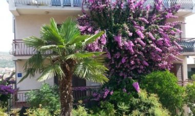 Apartments Mravak Čiovo Horvátország