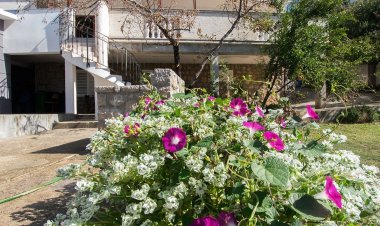 Apartmani Šimić Starigrad Horvátország