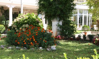 Apartmani Nikola Mlini Horvátország