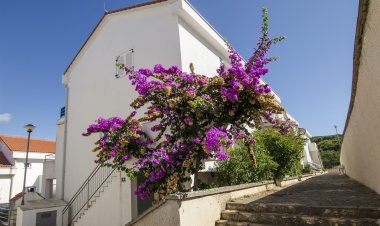 Apartment Tatjana Necujam Horvátország