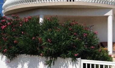 Apartman Marta Vir Horvátország