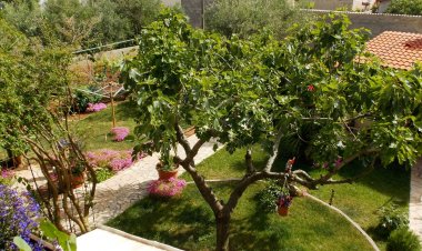 Apartmani Lesičar Vir Horvátország