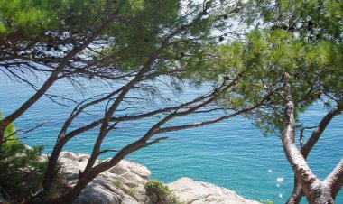 Apartman Tajči Pisak Horvátország