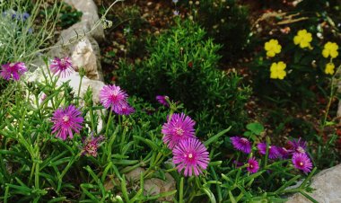 Apartman Tatjana Banjol Horvátország