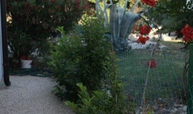 Apartman Zirić Vir Horvátország