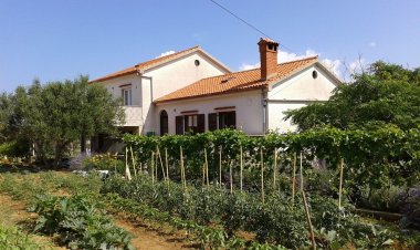 Apartment Radovic Nives Vir Horvátország