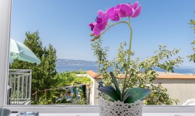 House Marta Omis Horvátország