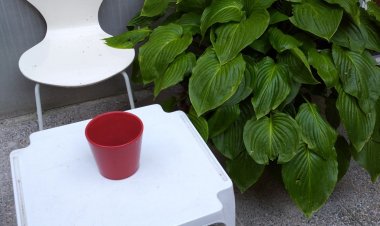 Studio Apartman Botanical Garden Zagreb Horvátország