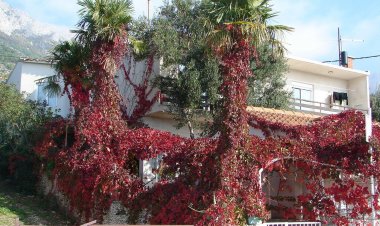 Apartmani Goge Gradac Horvátország