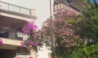 Apartments Karmela Primosten Horvátország