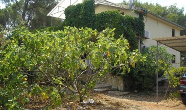 Apartment Ivica Basina Horvátország